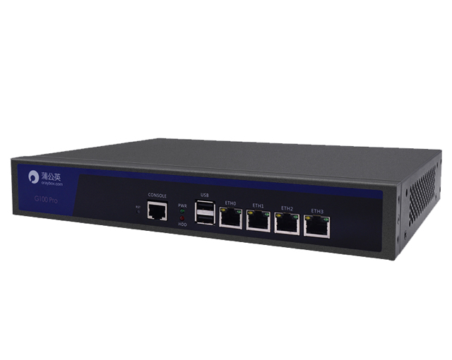 企业级千兆机架式智能组网路由器G100 Pro